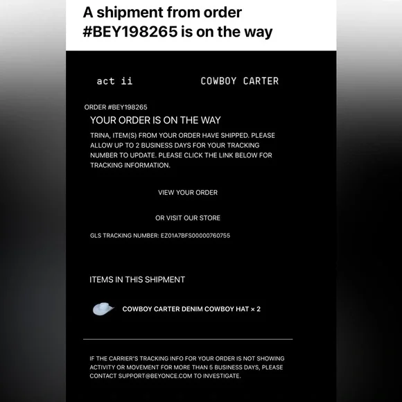 Cowboy Carter Denim Cowboy Hat